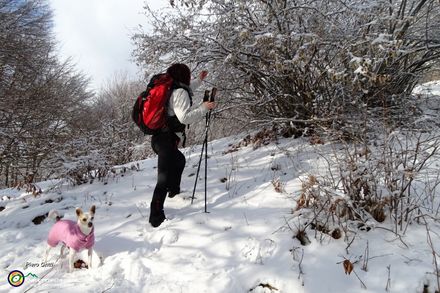 35 e il bosco si veste di bianco anche sulle piante !.JPG